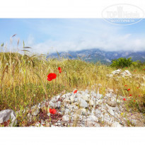 фото из отзыва ID 1775629