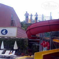 фото из отзыва ID 1775687