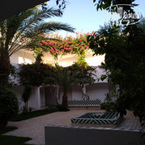 фото из отзыва ID 1775742