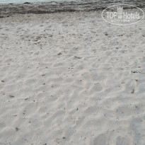 фото из отзыва ID 1775742