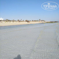 фото из отзыва ID 1775742