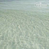 фото из отзыва ID 1775742