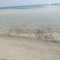 фото из отзыва ID 1775742