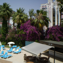 фото из отзыва ID 1775747