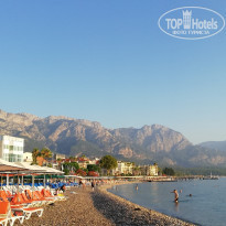 фото из отзыва ID 1775793