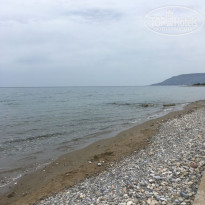 фото из отзыва ID 1775965