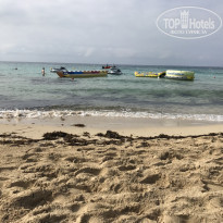 фото из отзыва ID 1776068