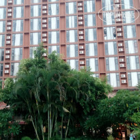 фото из отзыва ID 1776093