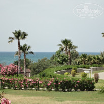 фото из отзыва ID 1776302