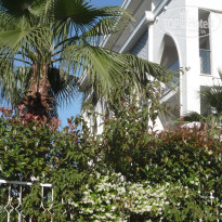 фото из отзыва ID 1776302