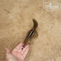 фото из отзыва ID 1776367