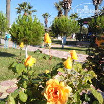 фото из отзыва ID 1776401