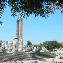 фото из отзыва ID 1776401