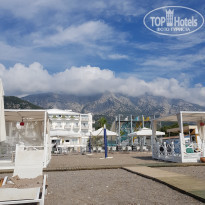 фото из отзыва ID 1776411