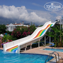 фото из отзыва ID 1776426