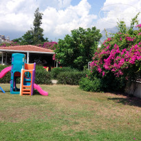 фото из отзыва ID 1776426