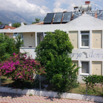 фото из отзыва ID 1776426