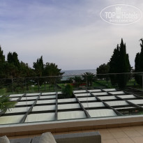 фото из отзыва ID 1776545