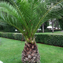 фото из отзыва ID 1776545