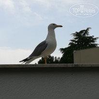 фото из отзыва ID 1776545