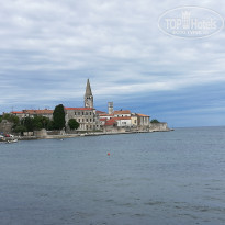 фото из отзыва ID 1776545