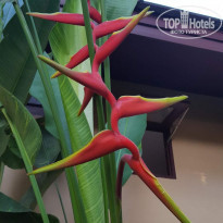 фото из отзыва ID 1774948