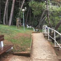 фото из отзыва ID 1776725