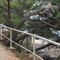 фото из отзыва ID 1776725