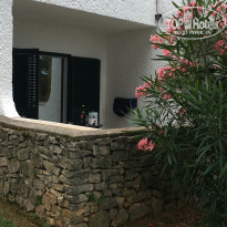 фото из отзыва ID 1776725