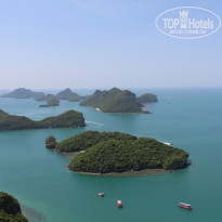 фото из отзыва ID 1776797