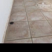 фото из отзыва ID 1776887