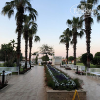 фото из отзыва ID 1776984