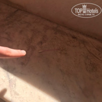 фото из отзыва ID 1777064