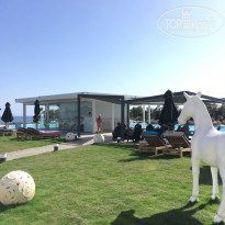 фото из отзыва ID 1777089