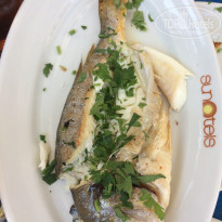 фото из отзыва ID 1777098