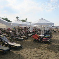 фото из отзыва ID 1777096