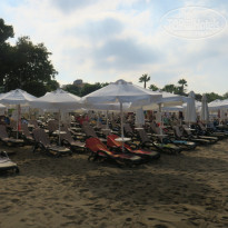 фото из отзыва ID 1777096