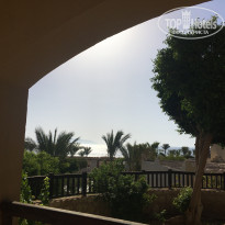 фото из отзыва ID 1777152