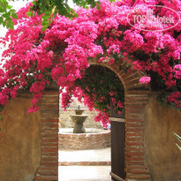 фото из отзыва ID 1777155