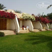 фото из отзыва ID 1777163