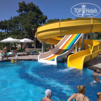 фото из отзыва ID 1777241