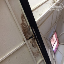 фото из отзыва ID 1775255