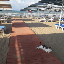 фото из отзыва ID 1777400