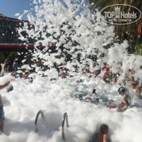 фото из отзыва ID 1777408