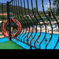 фото из отзыва ID 1777438