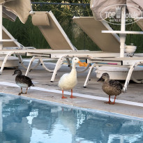 фото из отзыва ID 1777562