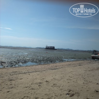 фото из отзыва ID 1777566