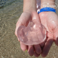 фото из отзыва ID 1777644