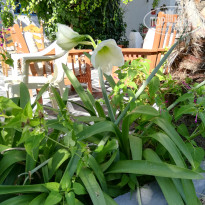 фото из отзыва ID 1777991