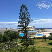 фото из отзыва ID 1778062